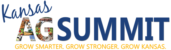 2016 Summit Logo