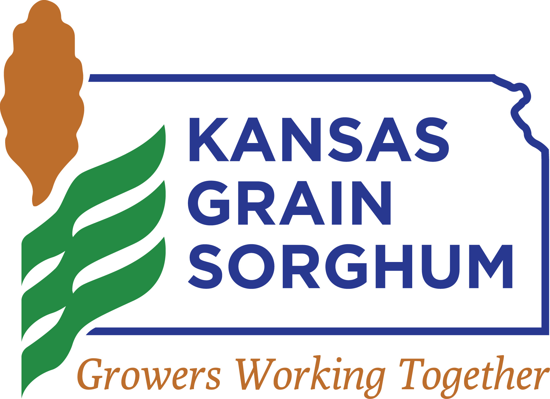 Kansas Grain Sorghum