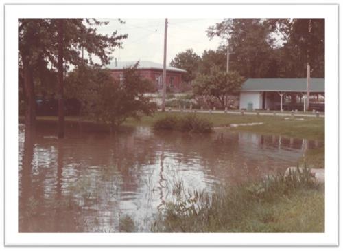 City Park 1983 Flood